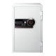 S6770 Sentry Commercial Safe